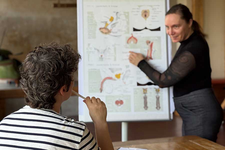 BDSM Studio Lux SM Kurse Der Kursraum BDSM Studio Lux SM Kurse Der Kursraum